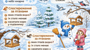 🌨️ Спостереження в природі «Зима»