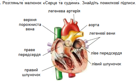 09016rrs-2b7e-449x276.png
