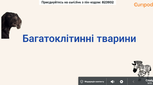 Багатоклітинні тварини