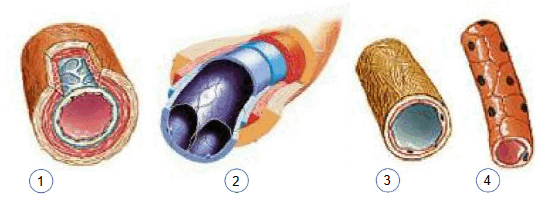 09016s63-7fc2-553x206.png