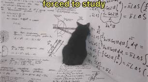 Will & be going to.  Form 8