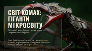 Комахи. Роль комах у природі та житті людини. Рідкісні та зникаючі види України/свого краю.
