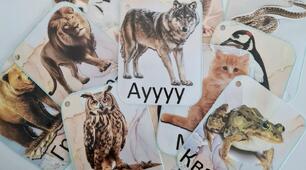 Звуконаслідування 🐺🐸🦉