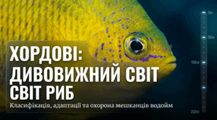 Хрящові риби. Променепері та лопатепері риби, пристосування до мешкання у водоймах. Рідкісні та зникаючі види України/свого краю.