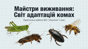Практична робота 5. “Виявлення прикладів пристосувань до середовища та способу життя в комах”.