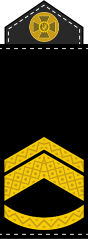 09016ut1-a231-177x478.png