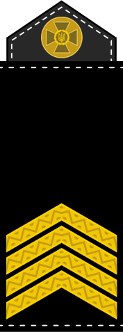 09016v29-5145-177x478.png
