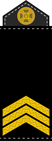 09016v2x-d2a0-177x478.png