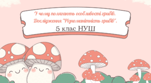 У чому полягають особливості грибів. Дослідження "Різноманітність грибів".