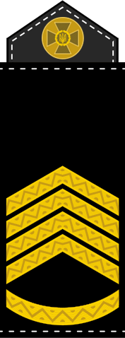 09016v69-c130-177x478.png