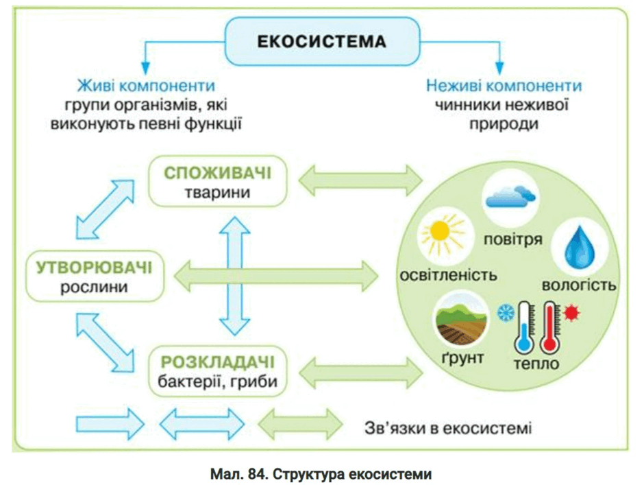 09016vqo-579a-940x707.png