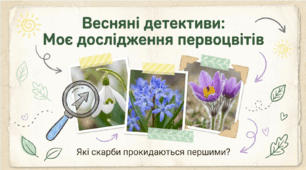 Моє дослідження. Які первоцвіти ростуть у нашій місцевості? ЯДС 2 клас
