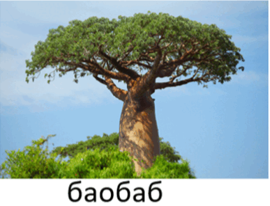 0901704d-e39a-387x296.png