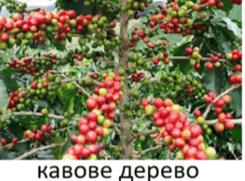 0901704s-6a24-348x258.png