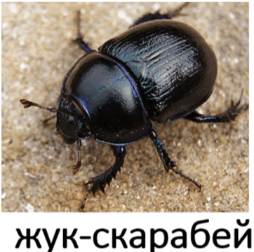 09017079-06e4-362x360.png