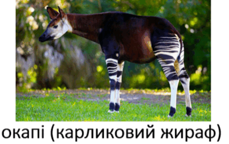 0901707n-97a3-447x282.png