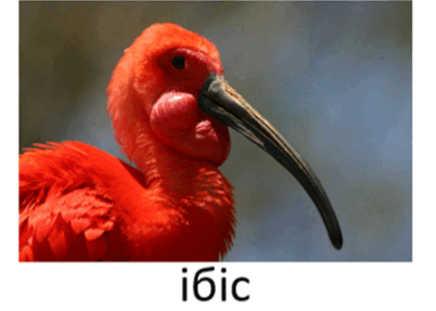 0901708c-9853-402x287.png