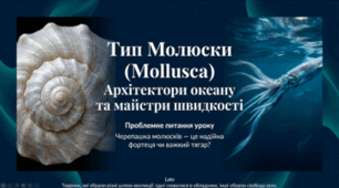 7 клас НУШ. Молюски