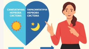 Соматична та вегетативна нервова система. 8 кл НУШ