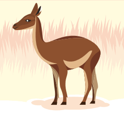 090174pn-e703-255x233.png