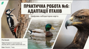 Практична робота 6. “Виявлення прикладів пристосувань до способу життя у представників різних екологічних груп птахів”.