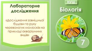 Лабораторне дослідження "Дослідження зовнішньої будови та руху черевоногих молюсків на прикладі акваріумних видів ". Біологія 7 клас НУШ