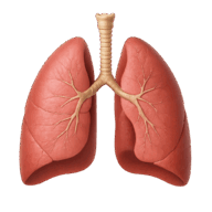 09017dme-355d-192x192.png