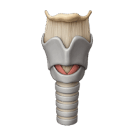 09017dmk-62cc-190x190.png