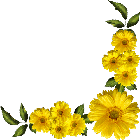 09017dwg-cc35-480x480.png