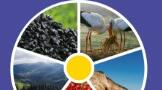 Чому знати географію своєї країни так важливо, тести 8 клас