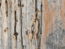 09017g9p-d0a2-209x157.png