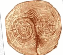 09017gbz-0903-206x181.png