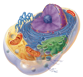 09017hv9-a4be-383x355.png
