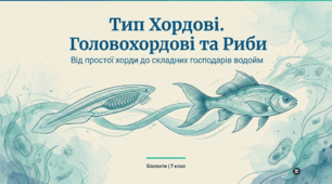 Хордові – тварини із внутрішнім скелетом. Головохордові – примітивні хордові тварини. Риби.