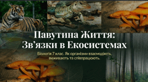 Зв’язки тварин між собою та іншими організмами в екосистемах.