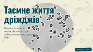 Будова та процеси життєдіяльності  одноклітинних (на прикладі дріжджів) грибів. Лабораторне дослідження 14.   Мікроскопічних грибів (на прикладі дріжджів).
