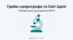 Гриби-сапротрофи. Цвілеві гриби. Лабораторне дослідження 15.   Цвілевих грибів (на прикладі мукора або інших представників).