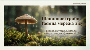Будова та процеси життєдіяльності багатоклітинних грибів (на прикладі шапинкових). Лабораторне дослідження 16.   Будови шапинкових грибів.