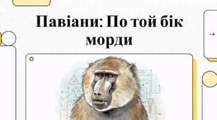 Відеоогляд "Бабуїни"