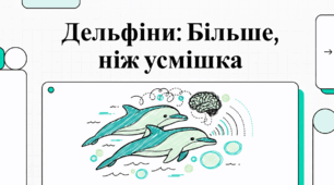 Відеоогляд "Дельфіни"