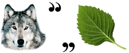 09017k6n-ee24-443x184.png