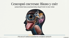 Характеристика сенсорних систем (аналізаторів). Рецептори та їхні типи. 8 клас НУШ