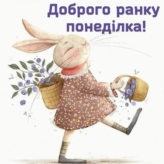 09017lfq-b187-543x543.png