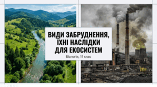ВИДИ ЗАБРУДНЕННЯ, ЇХНІ НАСЛІДКИ ДЛЯ ЕКОСИСТЕМ