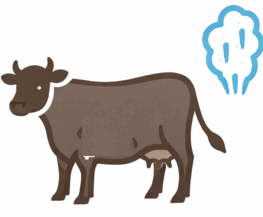 09017nc0-59e0-263x217.png