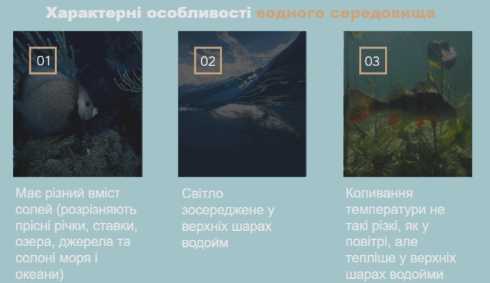 09017npf-b8e2-704x407.png
