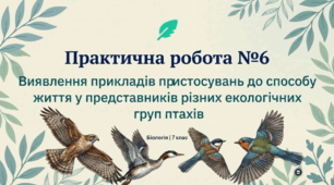 Практична робота 6. “Виявлення прикладів пристосувань до способу життя у представників різних екологічних груп птахів”.