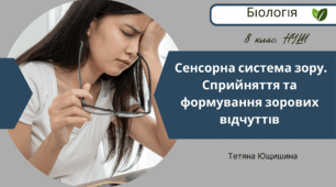 Сенсорна система зору. Сприйняття та формування зорових відчуттів. 8 клас. НУШ