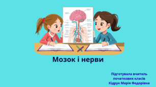 Презентація із ЯДС для 3 класу на тему: "Мозок і нерви" (до підручника Н. Бібік, Г. Бондарчук)