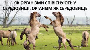 Презентація до уроку: "ЯК ОРГАНІЗМИ СПІВІСНУЮТЬ У СЕРЕДОВИЩІ. ОРГАНІЗМ ЯК СЕРЕДОВИЩЕ"